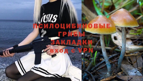 apvp Алзамай