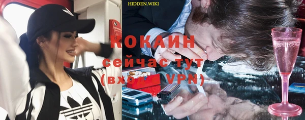 apvp Алзамай