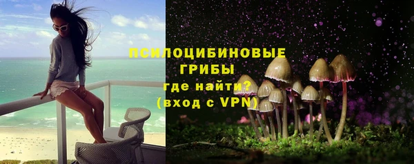 apvp Алексеевка