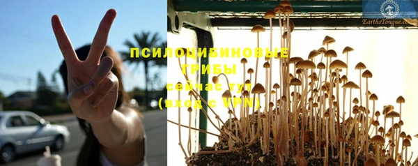 герыч Алексин