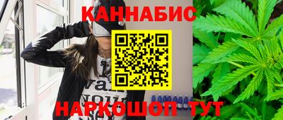 spice Камышлов