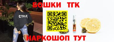 spice Камышлов