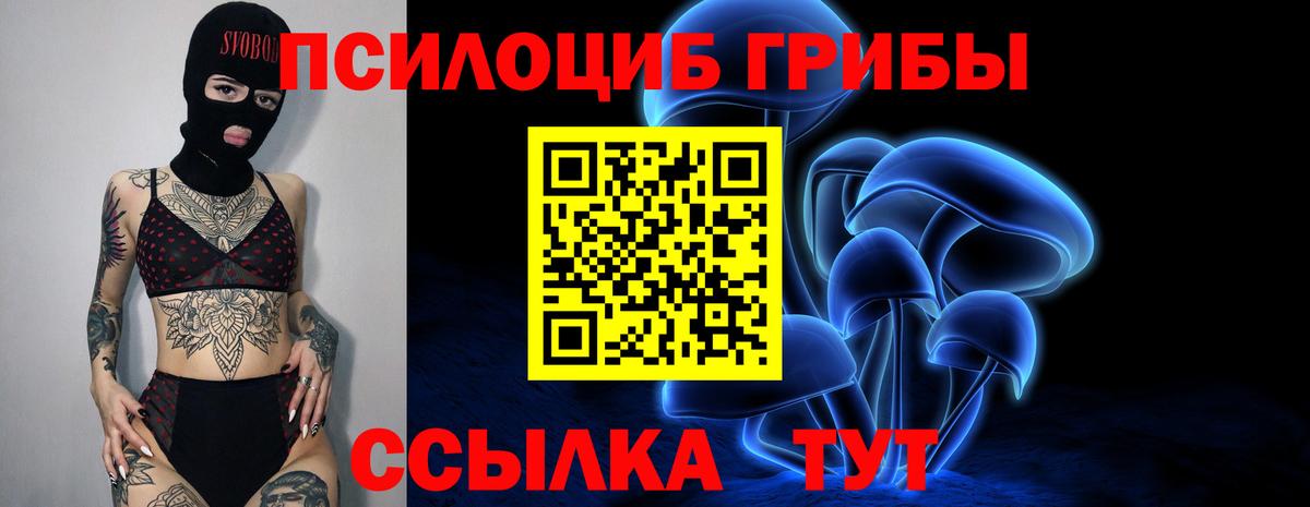 Псилоцибиновые грибы ЛСД  Вход с VPN  Ливны  Галлюциногенные грибы MAGIC MUSHROOMS 